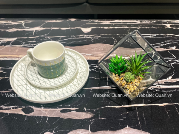 Chậu cây decor - CY00005