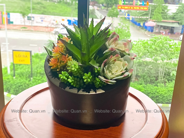 Chậu cây decor - CY00002
